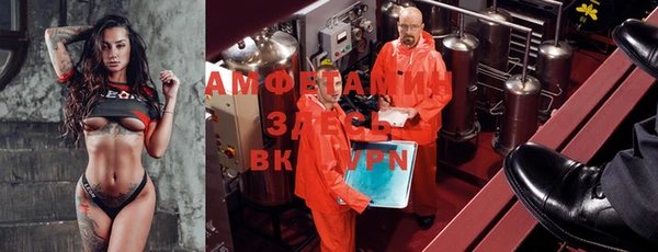 метадон Алексин