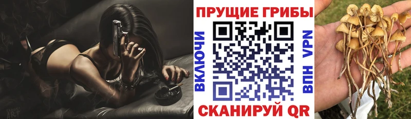 гидра рабочий сайт  наркота  Алупка  Псилоцибиновые грибы Cubensis 